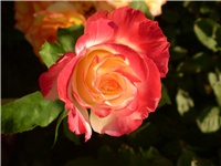 5ee969d2-Picture 3081.jpg